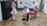 family_005