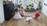 family_029